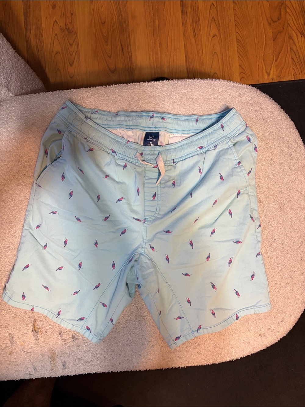 Light Blue Printed Shorts with Toucan Motif